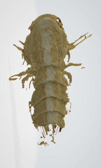 Featured 3D Model